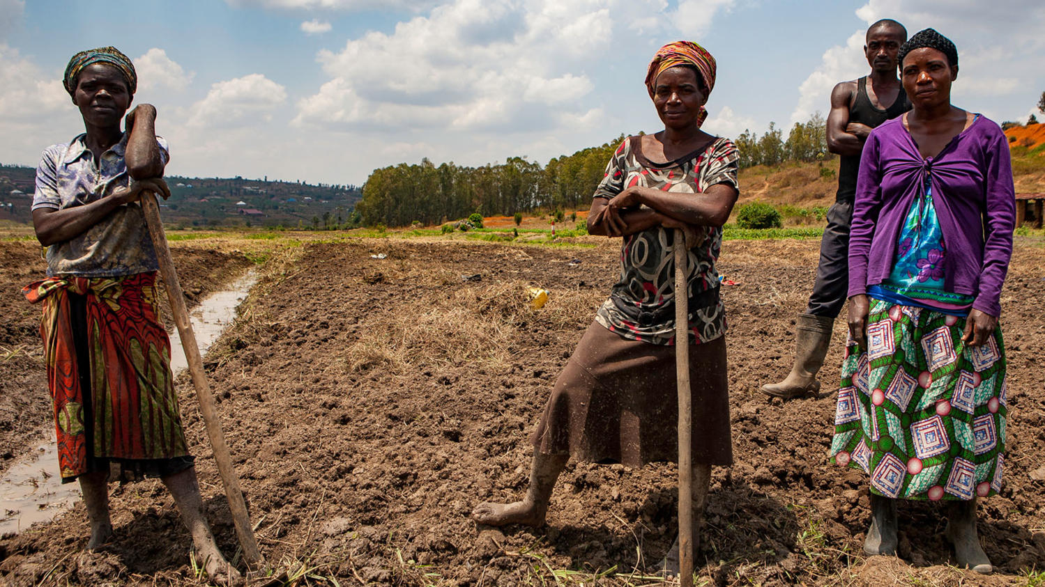 Making smallholder farmers relevant - Agric Ministry, IFAD, other partners intervene